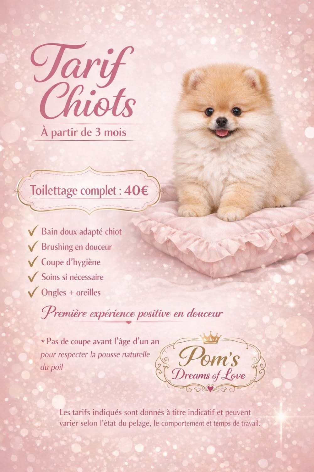 Toilettage chiot