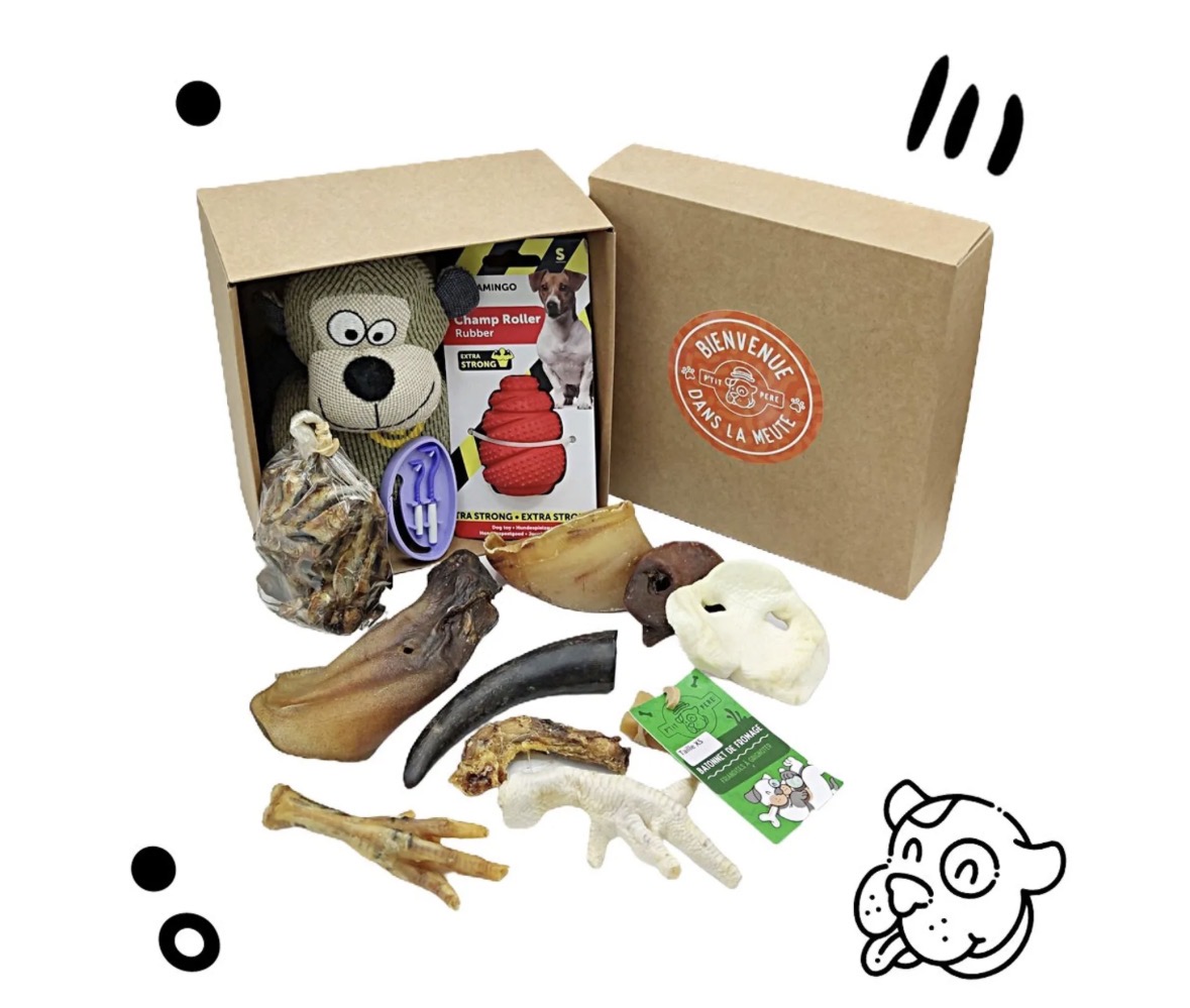 Box découverte pour chiots